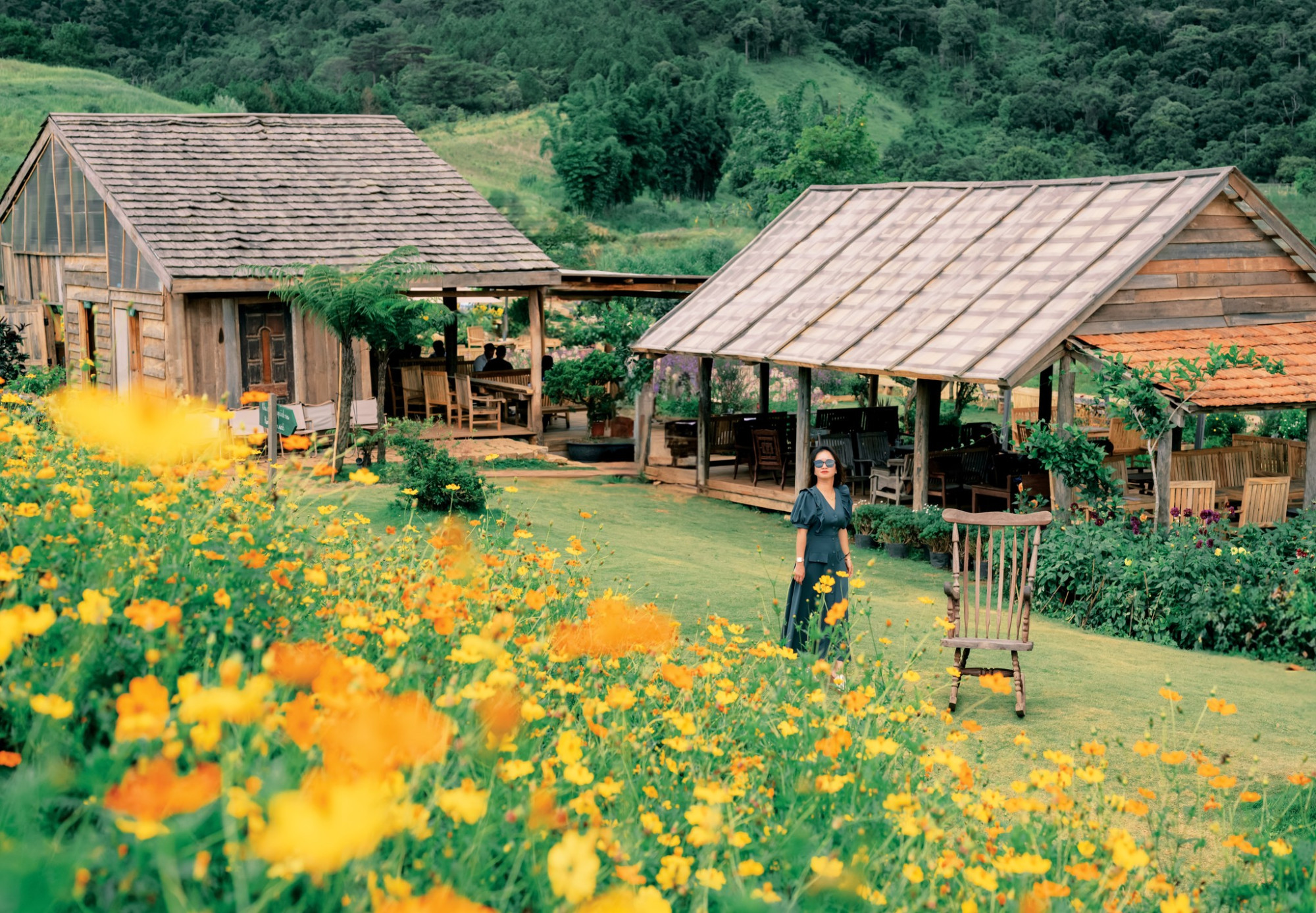The Florest – Hoa Trong Rừng